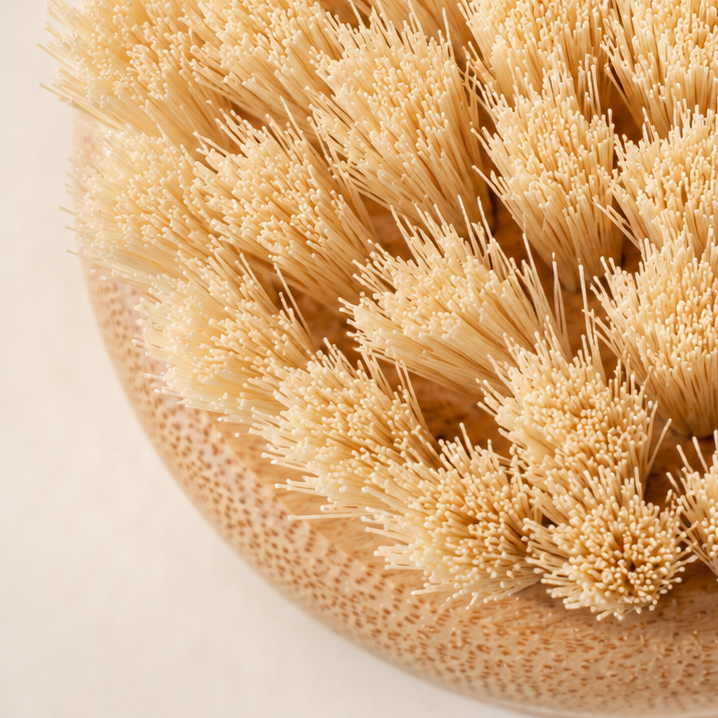 Bamboo Dish Brush