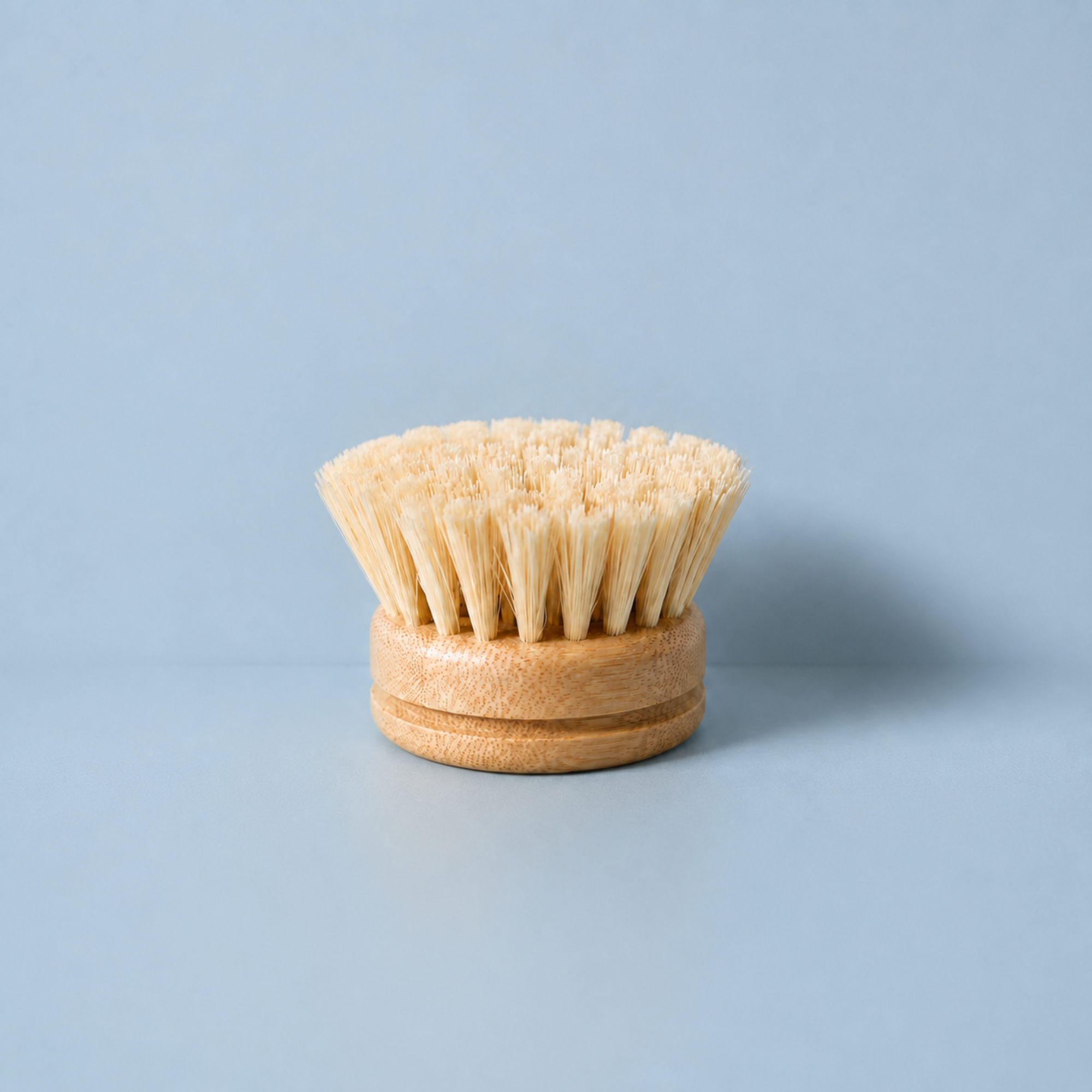 Bamboo Dish Brush